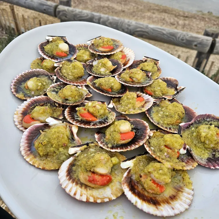 Coquilles Saint-Jacques gratinées en persillade, sur un plat.