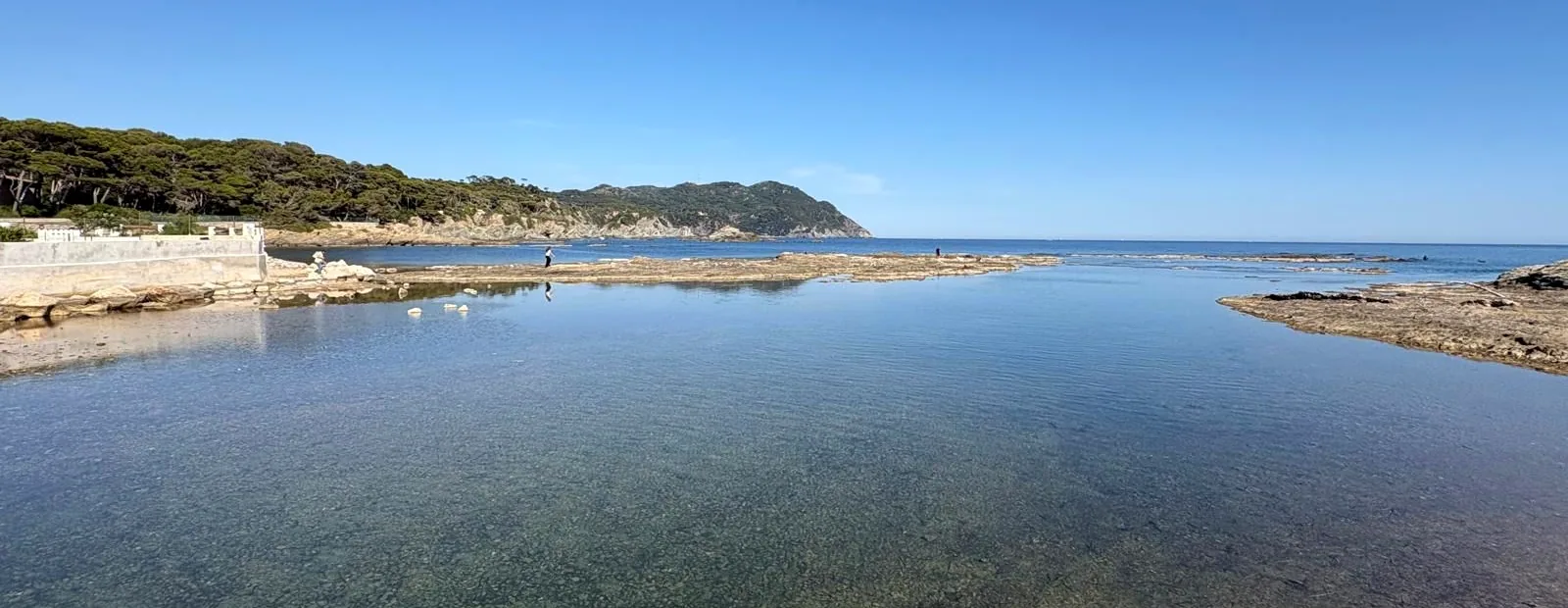 La lagune du Brusc, la pinède et la côte au loin.